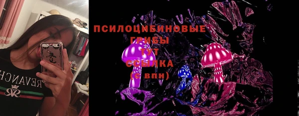мдпв Елизово