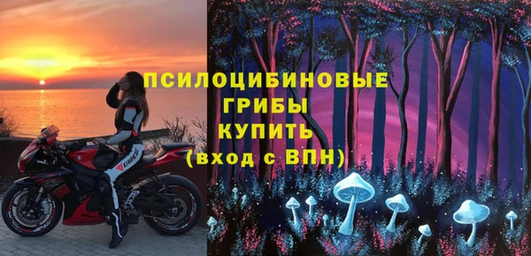 2c-b Заводоуковск