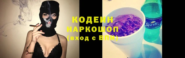 мдпв Елизово