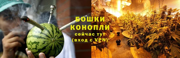2c-b Заводоуковск
